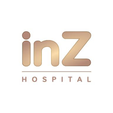 INZ CORPORATION COMPANY LIMITED