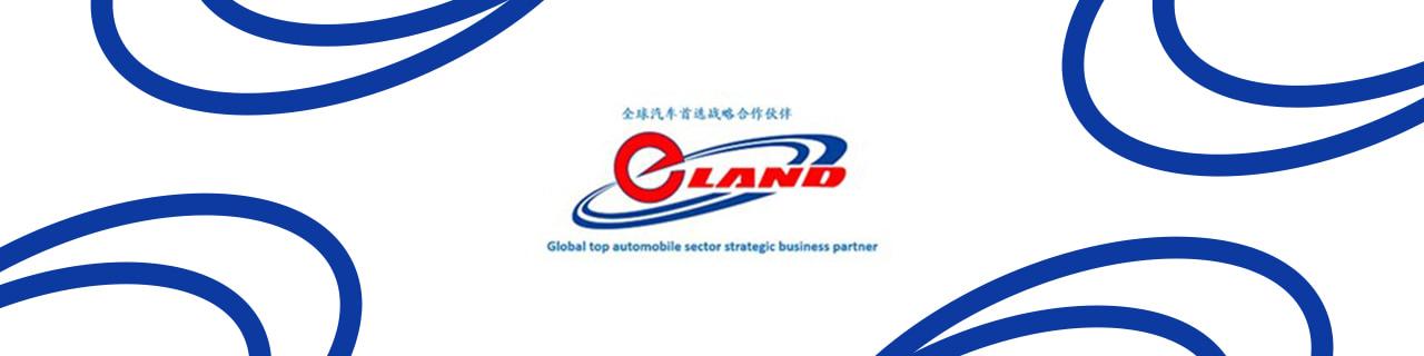 Company Image